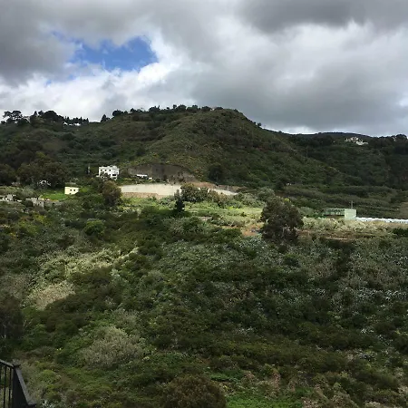 Del Pino Teror